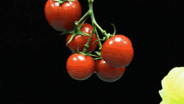 3.gif