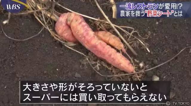 点击打开原图